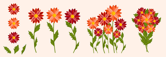 Bright colorful flowers set. Botanical vector illustration on isolated background.