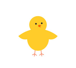Cute yellow Easter chick bird illustration.