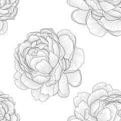seamless pattern with peonies, botanical background