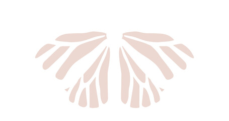 Pastel color butterfly, png file