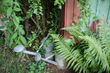 Gartenzeit, Trockenheit 
zwei alte Zinkgießkannen stehen am Schuppen in einer schattigen Ecke und...