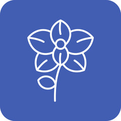 Orchid Icon