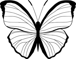 Silhouette of butterfly, flying insect.