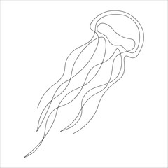 Fototapeta premium jellyfish on white background