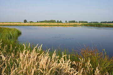 Groene Jonker, Zevenhoven, Netherlands