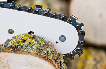 Sharp steel teeth on chainsaw detail at sawing natural wood log and blurred woodpile on background. Closeup of modern metal saw chain on guide bar of portable power cutting tool at firewood preparing.