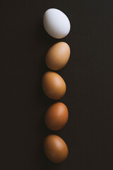 Color gradient from white to brown eggs in a row on black background