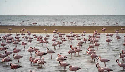 Walvis Bay, Namibia