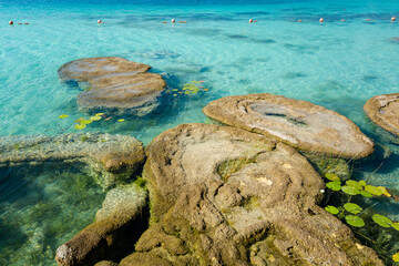 Stromatolites lagoon Bacalar Mexico - 574295213