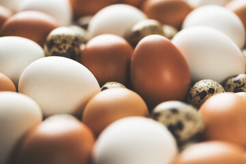 Stack of brown and white chicken eggs with quail eggs