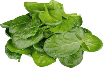 Green fresh spinach, Vegetable salsd