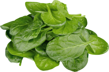 Green fresh spinach, Vegetable salsd