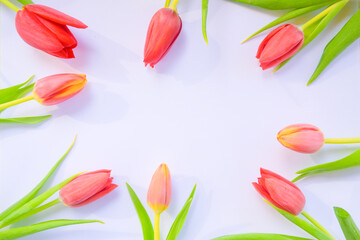 Horizontal frame with eight tulips