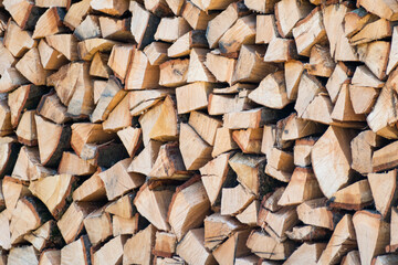 wooden logs store in pine forest