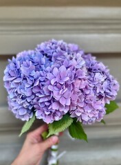 a bouquet of hydrangea lies on the table, a beautiful background