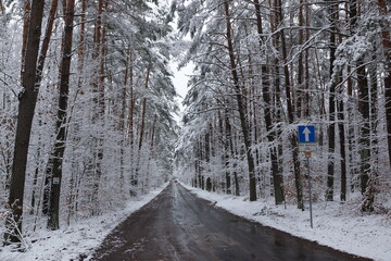 Droga zimowa w lesie