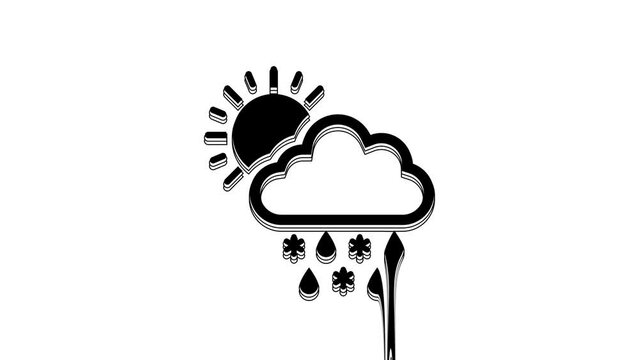 Black Cloud with snow, rain and sun icon isolated on white background. Weather icon. 4K Video motion graphic animation