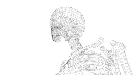 Human skeleton. 3d illustration - obrazy, fototapety, plakaty