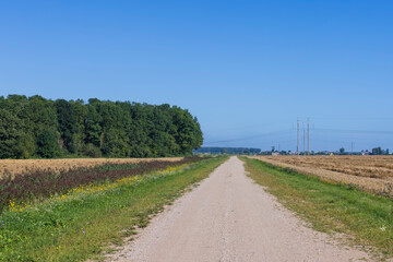 Fototapeta na wymiar Unpaved highway in rural areas