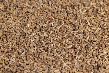 Small, fragrant anise spices on the board