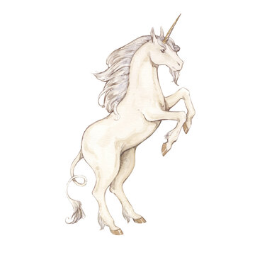 Watercolor vintage illustrations with white unicorn reared up. Isolated on white background.