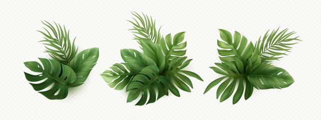 Set of Realistic Palm Tropical Leaves Isolated on White Background. Tropical monster leaf, palm, banana, exotic plants. Elements for Summer Tropic Design. Vector Illustration - obrazy, fototapety, plakaty