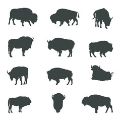 Bison buffalo silhouettes, Bison buffalo animals silhouette