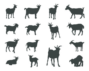 Goat silhouettes, Goat silhouette set, Goat vector