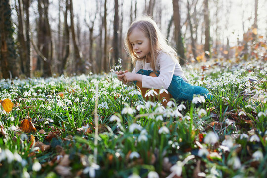 Cute preschooler girl in green tutu skirt gathering snowdrop flowers in park or forest on a spring day