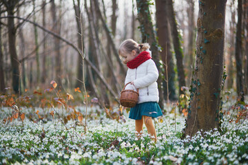 Five year old girl playing egg hunt on Easter