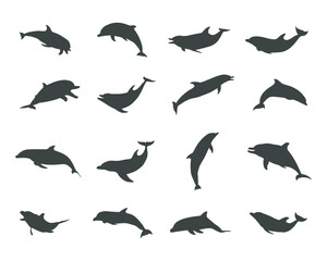 Obraz premium Dolphin silhouettes, Jumping dolphins silhouette, Dolphin vector