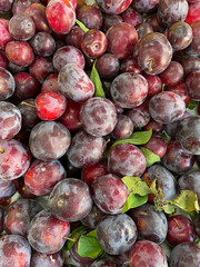 a lot of ripe plum vitamins healthy nutrition fruits as a background