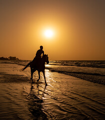 Horse rider at sunset Tanjil Fishing Village, The gambia, Africa - obrazy, fototapety, plakaty