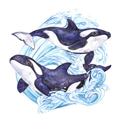 Watercolor illustration Arctic, Killer whales among splashes and waves in blue tones, composition isolated on white background