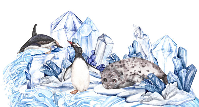 Watercolor illustration of the Arctic, banner seal with spots and penguins on the snow with crystals and ice floes among the waves and splashes, in blue tones, composition isolated on a white backgrou