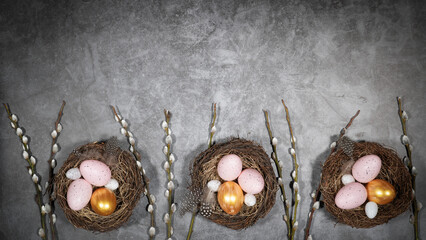HAPPY EASTER holiday celebration backgroud banner - Easter nests with easter quail eggs and catkins on concrete table texture, top view