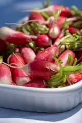 radis dans un plat