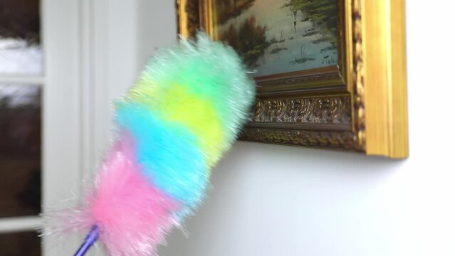 Cleaning house wiping dust. house cleaning service and housekeeping concept. Dust painting with feather duster close up 4k