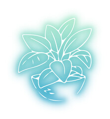 Collection of Flowers Pot neon