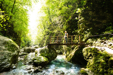 Woman with dogs on a small wooden bridge in a gorge in summer.