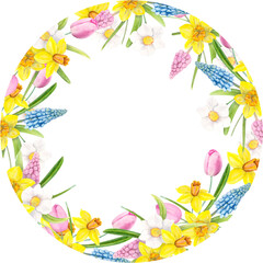 Watercolor Illustration Spring Frame With Muscari, Daffodils, Tulips, Leaves.