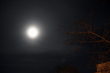 Full moon, giant moon on the sky, view from Sweden
