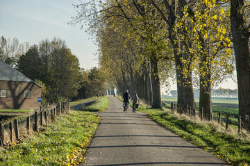 biking road with trees and bikers on a dike on the former island Goeree Overflakkee on a sunny day in autumn