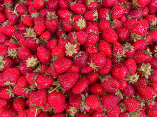 lots of red strawberries healthy nutrition berries as background