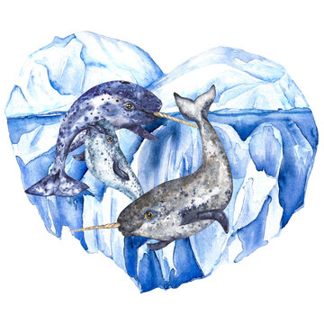 Watercolor illustration Arctic, narwhals on the background of a heart-shaped iceberg in blue gamma, isolated composition on a white background