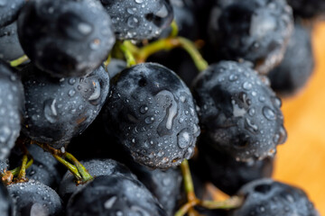 Fresh wet grapes of blue color