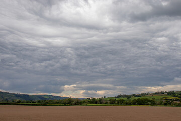 Fototapeta premium Clouds over the fields