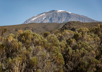 The Awe-Inspiring Mountain Peak with Snow in the Summer