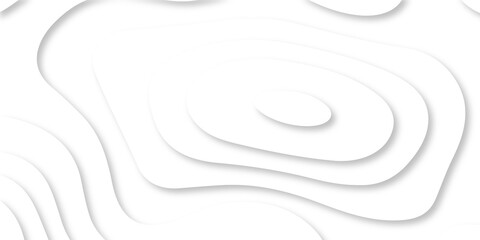 Abstract Luxury paper cut background, Abstract decoration, white pattern lines gradients, 3d Vector illustration, topographic canyon map light relief texture, curved layers.