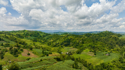 Fototapeta na wymiar Rice plantations and farmland from the tropics. Negros, Philippines